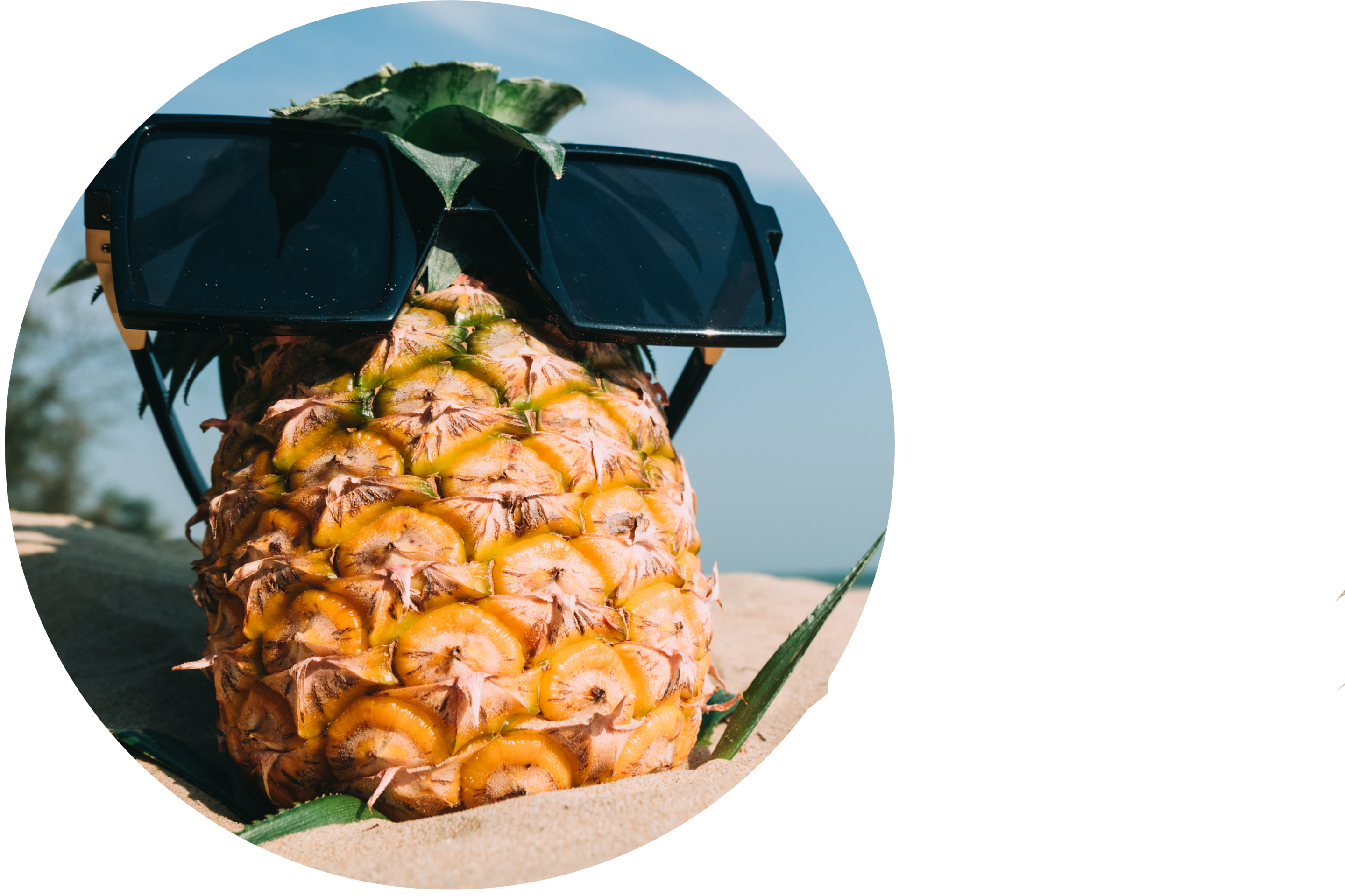 pineapple