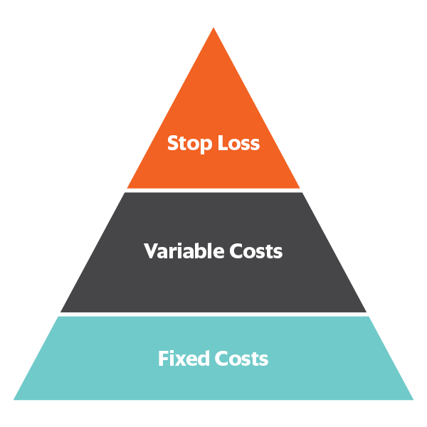 employers-self-funded-pyramid